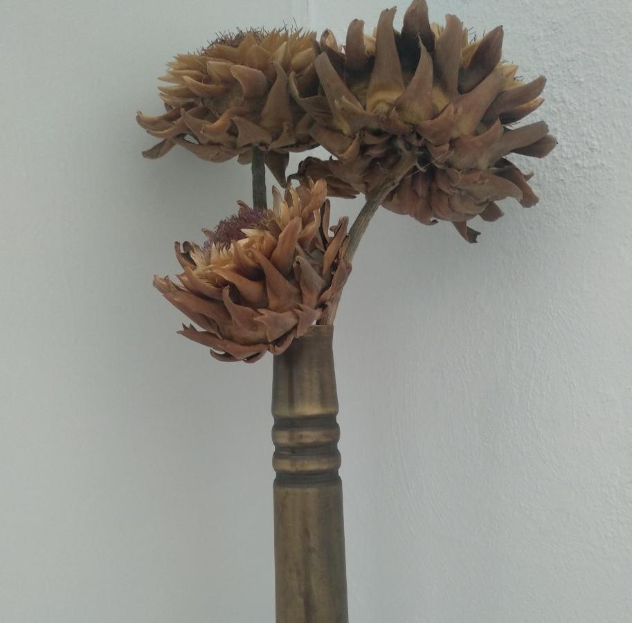 Thimisi Сasa de vacaciones Skopelos